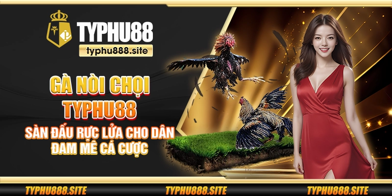 Gà nòi chọi Typhu88 - Sàn đấu rực lửa cho dân đam mê cá cược