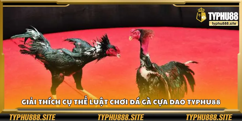 Giải thích cụ thể luật chơi đá gà cựa dao Typhu88