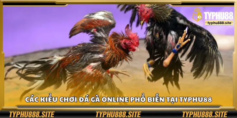 Các kiểu chơi đá gà online phổ biến tại Typhu88