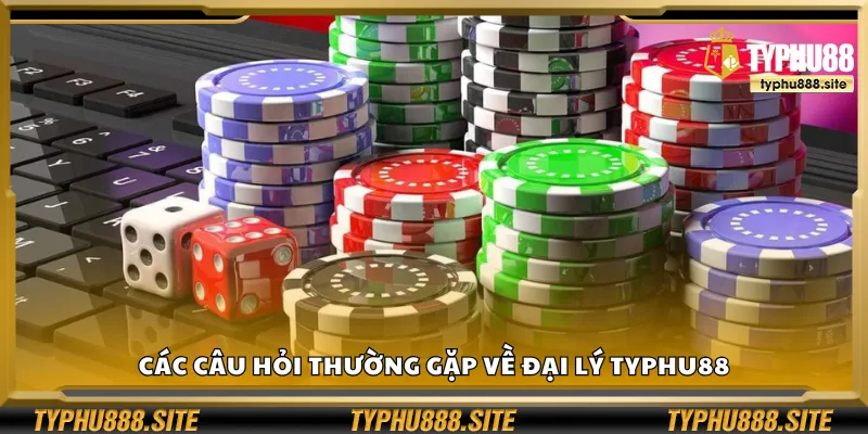 Các câu hỏi thường gặp về đại lý Typhu88