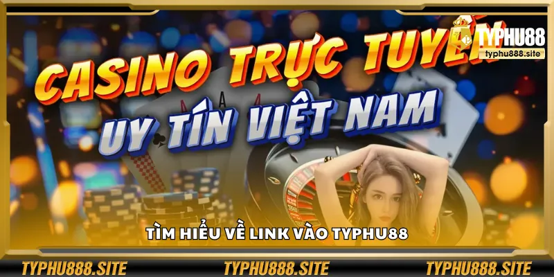 Tìm hiểu về link vào Typhu88
