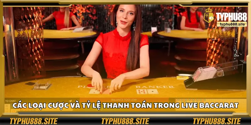 Các loại cược và tỷ lệ thanh toán trong live baccarat