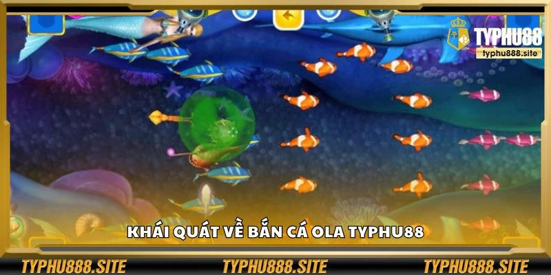 Khái quát về bắn cá Ola Typhu88