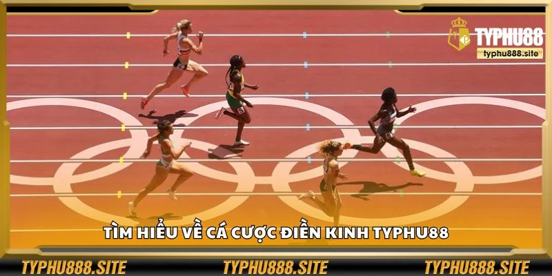 Tìm hiểu về cá cược điền kinh Typhu88