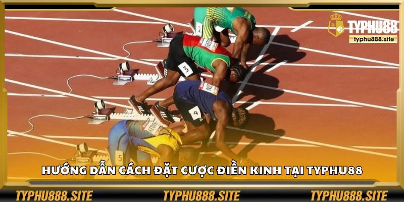 Hướng dẫn cách đặt cược điền kinh tại Typhu88