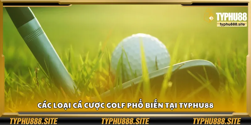Các loại cá cược golf phổ biến tại Typhu88