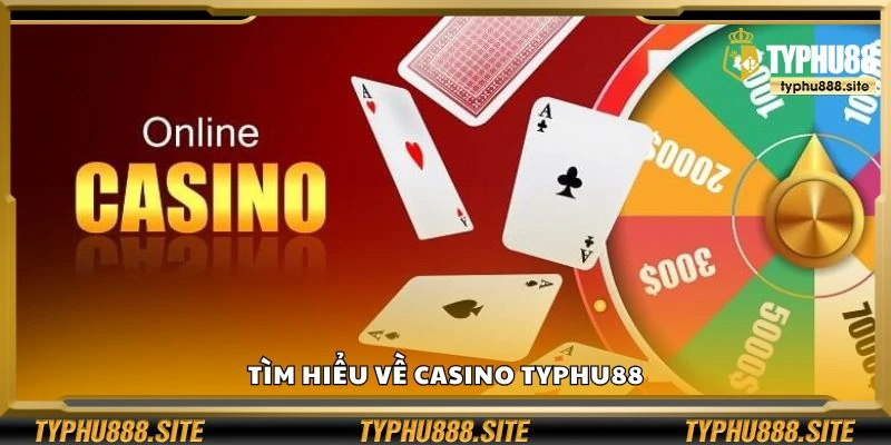 Tìm hiểu về Casino Typhu88