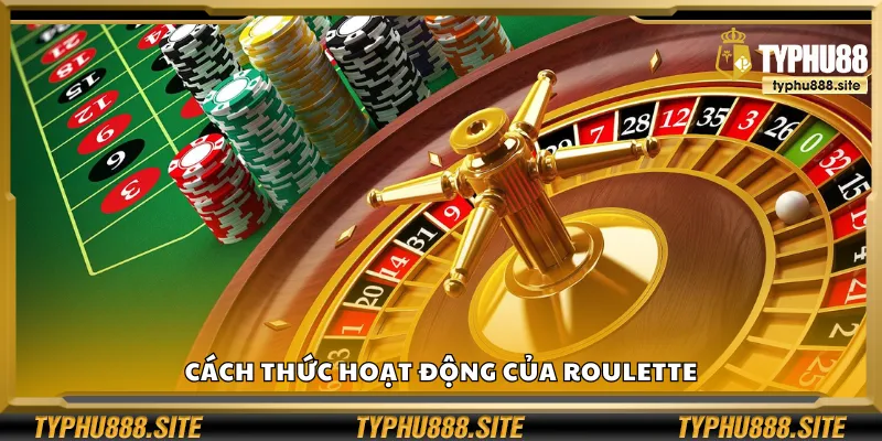 Quy định trong trò chơi Roulette