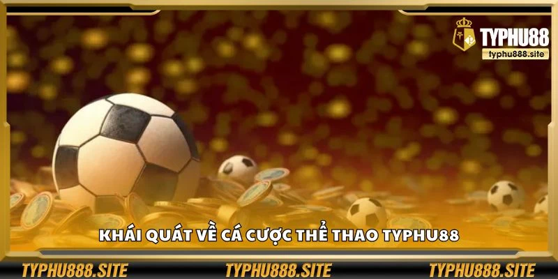 Khái quát về cá cược thể thao Typhu88