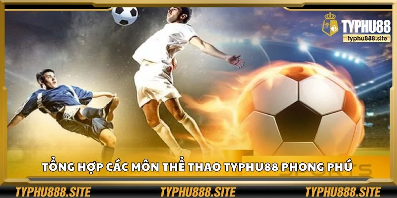 Tổng hợp các môn thể thao Typhu88 phong phú