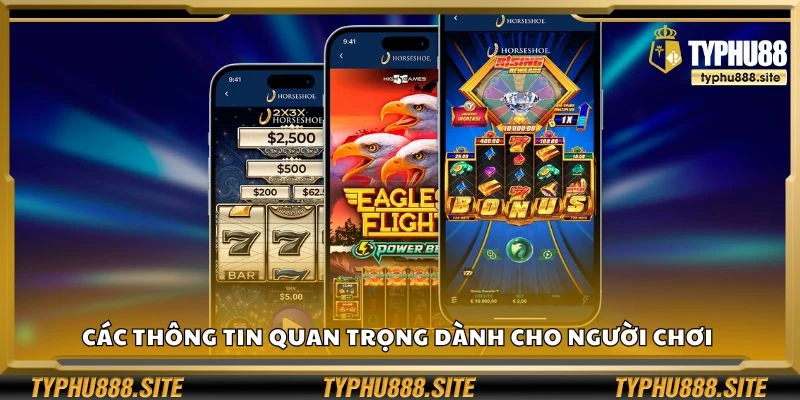 Các thông tin quan trọng dành cho người chơi