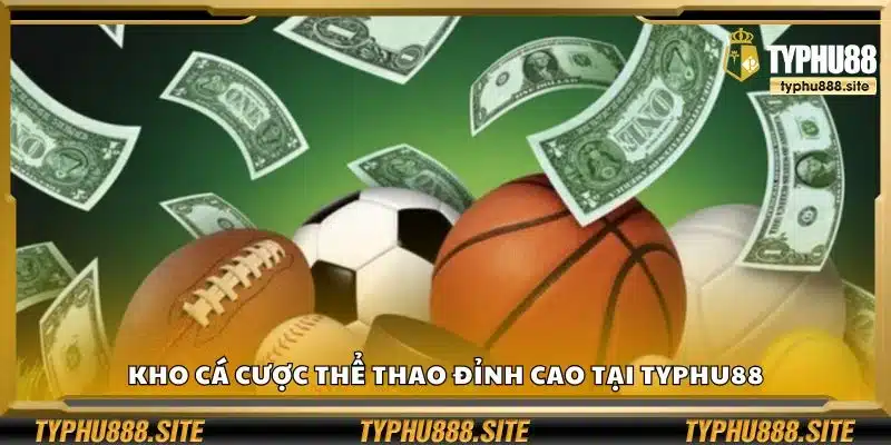 Kho cá cược thể thao đỉnh cao tại Typhu88